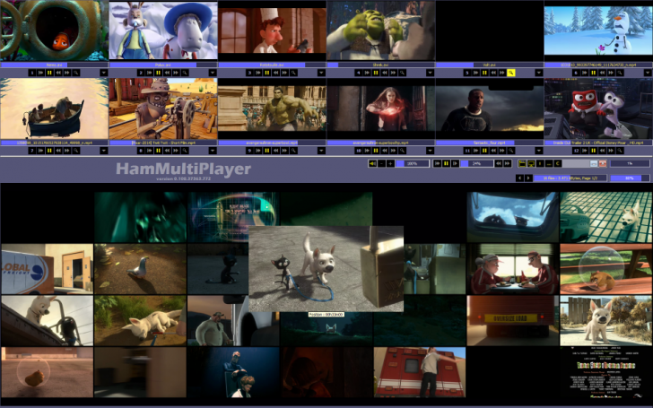 โปรแกรมเปิดวิดีโอพร้อมกัน HamMultiPlayer