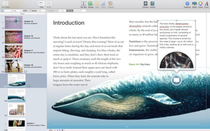 โปรแกรมทำหนังสือ iBooks Author 