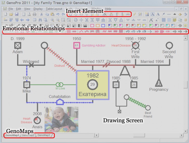 โปรแกรมสร้างแผนภาพวงศ์ตระกูล GenoPro