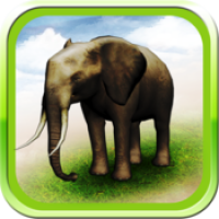REAL ANIMALS HD (โปรแกรม REAL ANIMALS HD สัตว์โลก 3D เหมือนจริง บน Mac)
