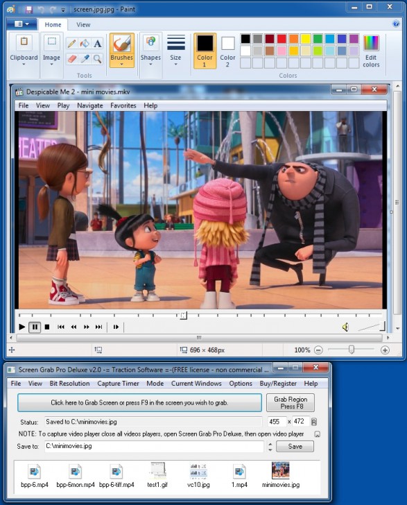 โปรแกรมจับภาพหน้าจอ Screen Grab Pro Deluxe