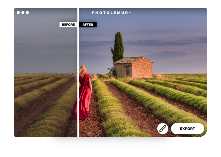 Photolemur (โปรแกรมแต่งรูป Photolemur เปลี่ยนภาพถ่ายธรรมดา ให้สวยเหมือนมืออาชีพ) : 