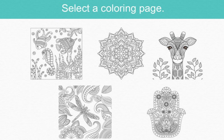 Zen (โปรแกรม Zen สมุดระบายสี ลดเครียด คลายกังวล สำหรับผู้ใหญ่ บน Mac) : 