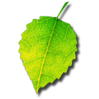 Shade (โปรแกรม Shade ซ่อนไอคอน บนหน้าจอ Mac ด้วยรูปภาพง่ายๆ)