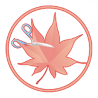 Easy Cut Studio (โปรแกรม Easy Cut Studio สร้างกราฟฟิก รูปภาพ สำหรับนำไปตัดกระดาษ ง่ายๆ)