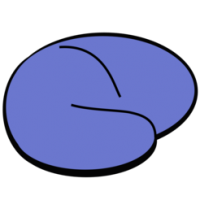 MRIcro (โปรแกรม MRIcro เปิดไฟล์รูปภาพทางการแพทย์ MRI บน Mac)