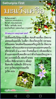 App รวมข้อมูลสมุนไพรไทย SamunpraiFirst