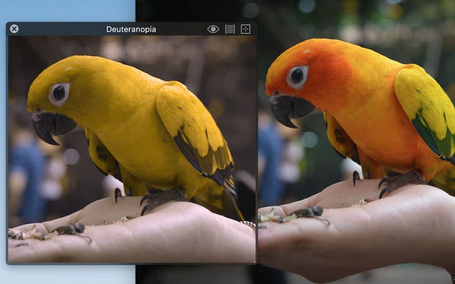 Sim Daltonism (โปรแกรม Sim Daltonism จำลองตาบอดสี บนหน้าจอ สำหรับ Mac) : 