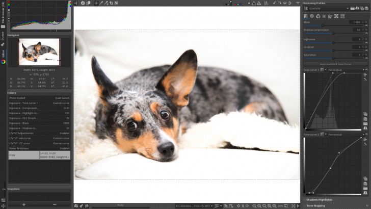 RawTherapee (โปรแกรมแต่งภาพ RAW บน PC ฟรี) : 