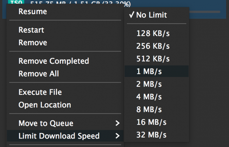 โปรแกรมช่วยดาวน์โหลด Ninja Download Manager