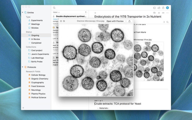 Findings (โปรแกรม Findings สมุดจดบันทึก รวบเครื่องมือค้นคว้า ศึกษางานวิจัย บน Mac) : 