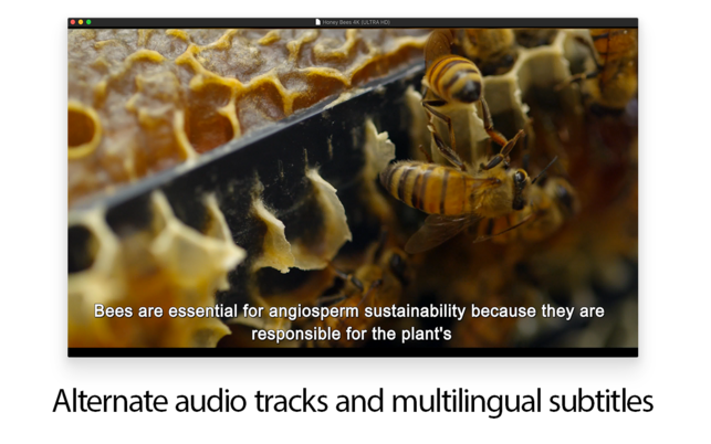 MKPlayer (โปรแกรม MKPlayer เครื่องเล่นวิดีโอและเสียง มัลติมีเดีย บน Mac) : 