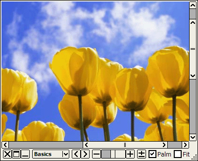 โปรแกรมดูรูป Moo0 Image Viewer โปรแกรมดูรูป Moo0 Image Viewer