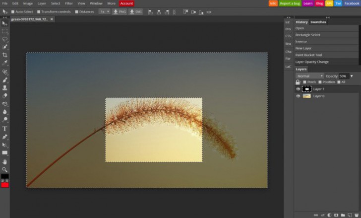 โปรแกรมแต่งรูปออนไลน์ Photopea