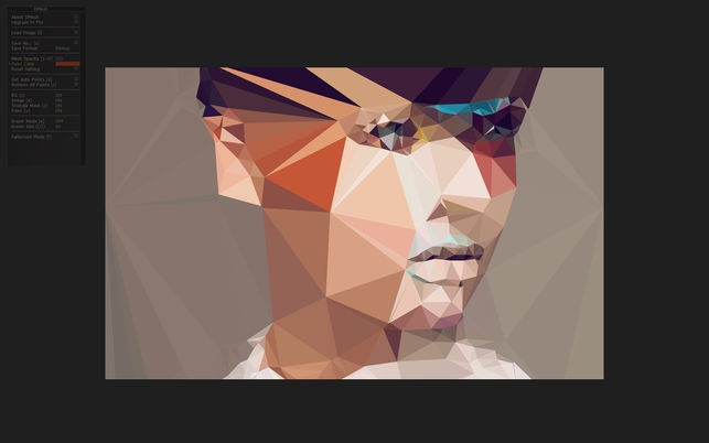 โปรแกรมสร้างภาพศิลปะโพลิกอน DMesh โปรแกรมสร้างภาพศิลปะโพลิกอน DMesh
