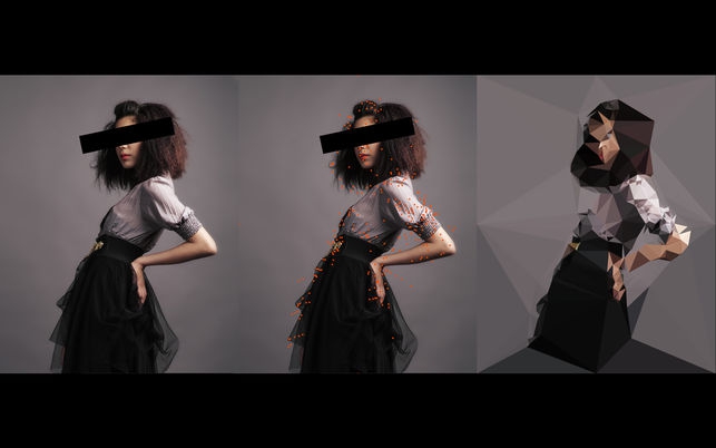 DMesh (โปรแกรม DMesh สร้างภาพศิลปะ Techy Art แนวโพลิกอน บน Mac) : 