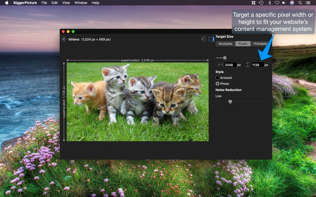 Bigger Picture (โปรแกรม Bigger Picture ขยายภาพ ทำภาพขนาดใหญ่ บน Mac) : 