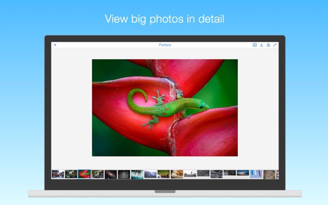 Pixfeed for Flickr (โปรแกรม Pixfeed for Flickr เปิดดูฟีด คลังภาพใหม่ๆ บน Flickr สำหรับ Mac) : 