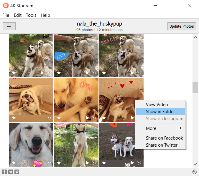 4K Stogram (โปรแกรมช่วยโหลดรูปภาพ วิดีโอ สถานที่ จาก Instagram ฟรี) : 
