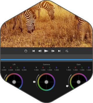 Catalyst Browse (โปรแกรม Catalyst Browse จัดการไฟล์วิดีโอมืออาชีพสำหรับ Sony Pro) : 