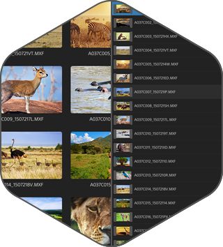 Catalyst Browse (โปรแกรม Catalyst Browse จัดการไฟล์วิดีโอมืออาชีพสำหรับ Sony Pro) : 