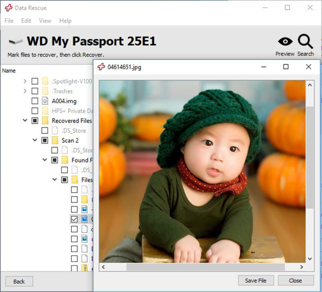 Data Rescue 5 (โปรแกรมกู้ไฟล์ กู้ข้อมูล เรียกคืนไฟล์ที่สูญหายอย่างรวดเร็ว) : 