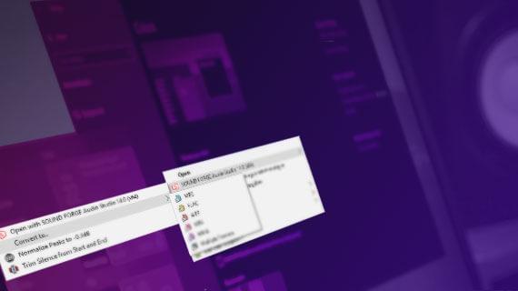 Sound Forge Pro (โปรแกรมตัดต่อเสียง ทำเพลง พร้อมเครื่องมือระดับโปร) : 