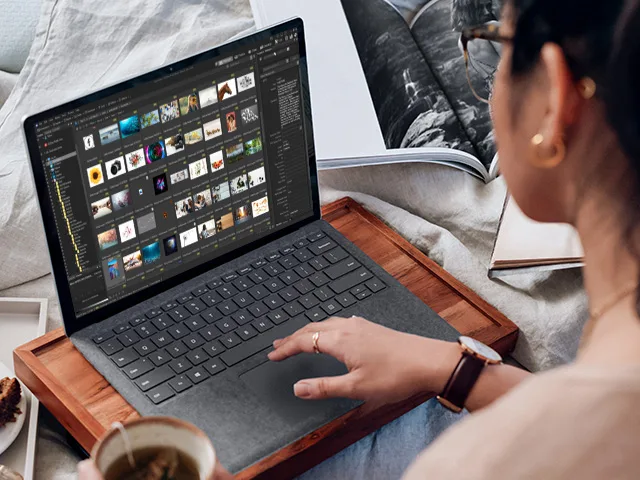 ACDSee Photo Studio Professional 2026 (โปรแกรมดูรูป จัดการรูป และแต่งรูป ที่สมบูรณ์แบบ)