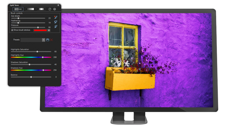 ACDSee Photo Studio Professional 2026 (โปรแกรมดูรูป จัดการรูป และแต่งรูป ที่สมบูรณ์แบบ) : 