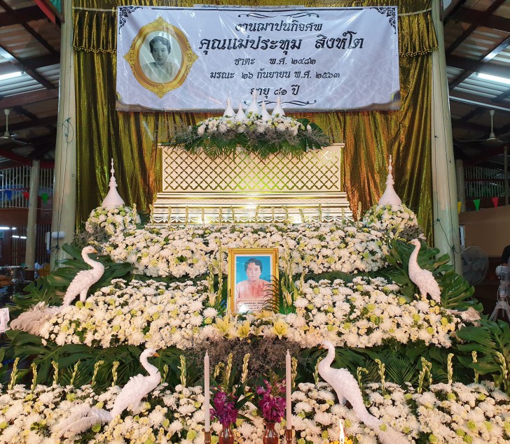 ACDSee Photo Studio Professional 2026 (โปรแกรมดูรูป จัดการรูป และแต่งรูป ที่สมบูรณ์แบบ) : 