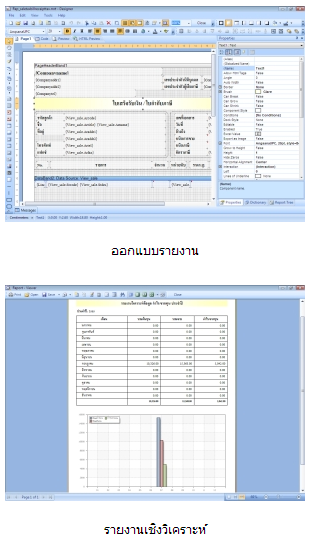 Nanosoft Smart INV.NET (โปรแกรมขายหน้าร้าน โปรแกรมสต๊อก และ บัญชี) : 