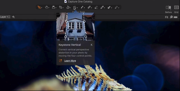 Capture One Pro (โปรแกรม Capture One Pro แต่งภาพระดับมืออาชีพ) : 