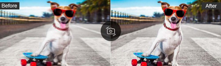 Vidmore Video Enhancer (โปรแกรม Video Enhancer ปรับคุณภาพวิดีโอ แก้ภาพสั่น ภาพเบลอ) : 