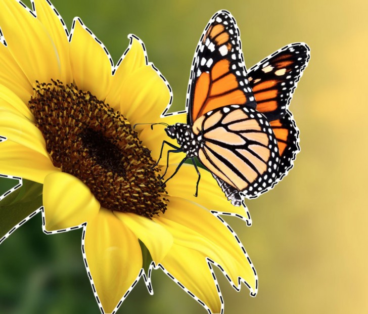 CorelDRAW Essentials (ชุดโปรแกรมวาดรูป งานกราฟิก สำหรับมือใหม่) : 