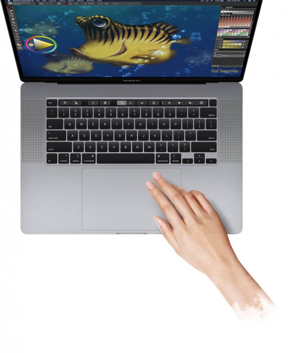 Corel Painter Essentials 8 (โปรแกรมวาดรูปดิจิทัล) : 