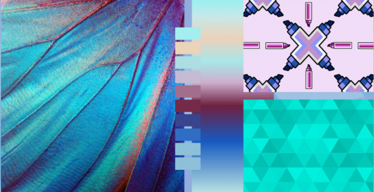 Corel PaintShop Pro (โปรแกรมแต่งรูป แก้ไขภาพ ลบวัตถุ คุณภาพสูง) : 