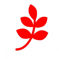 Backyradth Account (โปรแกรมบริหารบัญชี สำหรับธุรกิจขนาดเล็ก)