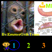 MLand (เกม MLand ตอบปัญหาวิทยาศาสตร์ คล้ายบันไดงู)