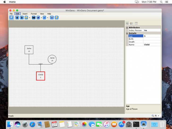 WinGeno (โปรแกรม WinGeno สร้างแผนภาพ Genograms วาดแผนภูมิครอบครัว) : 