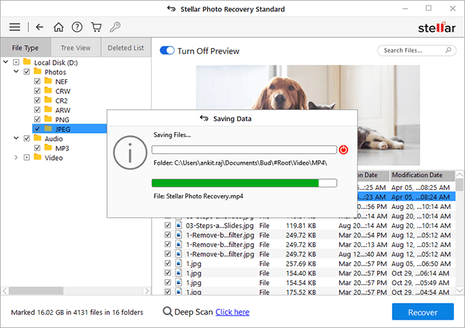 Stellar Photo Recovery (โปรแกรมกู้รูปภาพ กู้ไฟล์วิดีโอ กู้เพลง จาก HDD, SSD, SD Card, Flash Drive ) : 