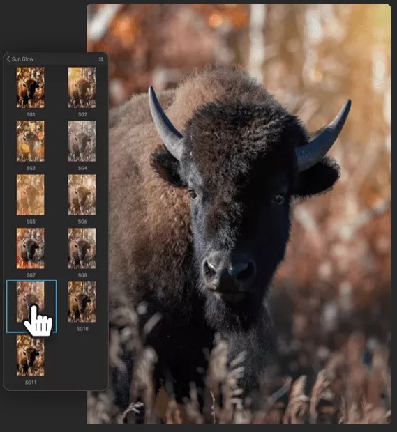 ON1 Photo RAW (โปรแกรม ON1 Photo RAW ตกแต่งรูป RAW ตัดต่อ สำหรับช่างภาพมืออาชีพ) : 