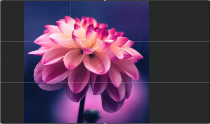 ON1 Photo RAW (โปรแกรม ON1 Photo RAW ตกแต่งรูป RAW ตัดต่อ สำหรับช่างภาพมืออาชีพ) : 