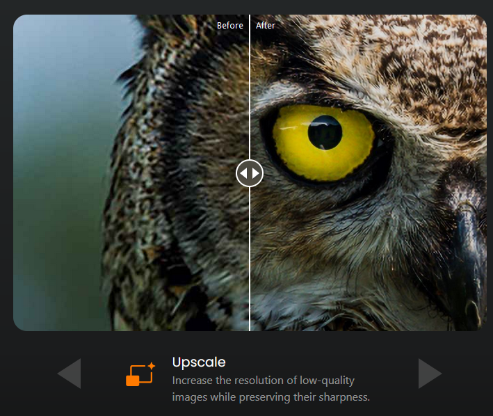 CyberLink PhotoDirector (โปรแกรม  CyberLink PhotoDirector แต่งรูประดับโปร) : 