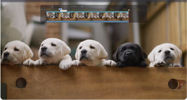 CyberLink PowerDirector (โปรแกรม PowerDirector ตัดต่อวิดีโอระดับโปร) : 