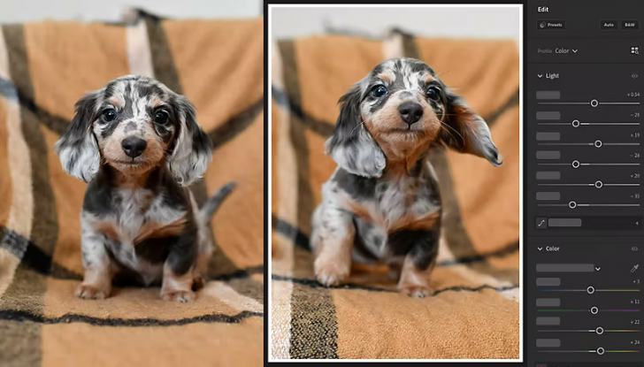 Adobe Lightroom (โปรแกรม Lightroom ตกแต่งภาพขั้นสูง) : 