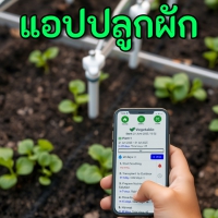 iGrow (App สำหรับคนปลูกผัก Hydroponics ปลูกพืชเพื่อเก็บขาย)