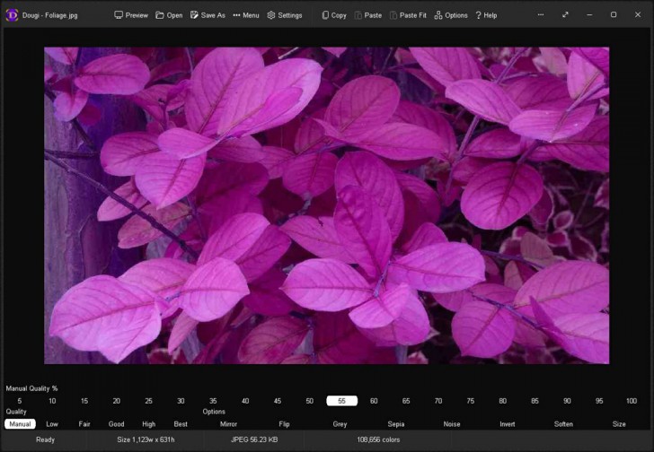 Dougi (โปรแกรมสร้างภาพ JPEG คุณภาพสูง ได้อย่างง่ายดาย)