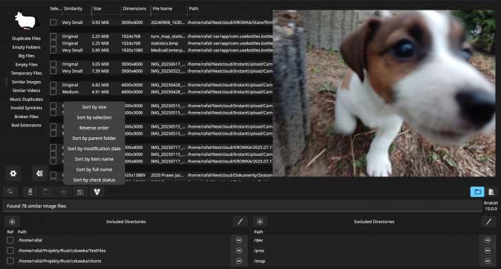 Czkawka (โปรแกรมลบไฟล์ขยะสารพัดประโยชน์)