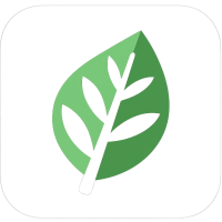 Komorebi (โปรแกรมจัดระเบียบหน้าต่างบนระบบปฏิบัติการ Windows)