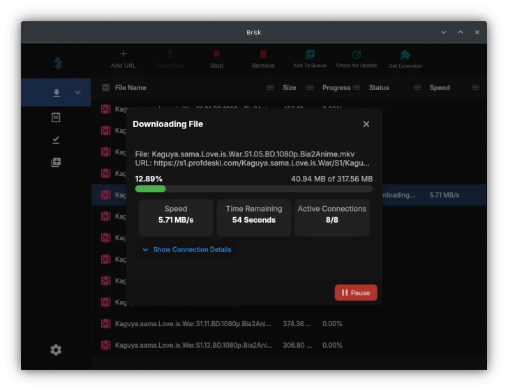 Brisk (โปรแกรมดาวน์โหลดความเร็วสูง ดีไซน์สวย) : 